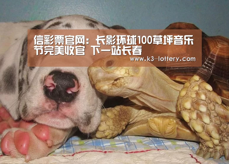 信彩票官网:长影环球100草坪音乐节完美收官 下一站长春(图2) 信彩票官网